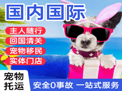 承德航空快递国际宠物托运 【国